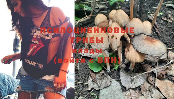 гидропоника Беломорск