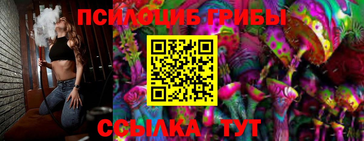 Гатчина  Псилоцибиновые грибы MAGIC MUSHROOMS  Вход с VPN 