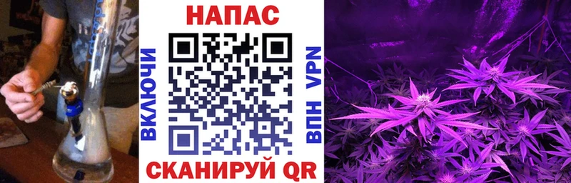 Бошки Шишки сатива  как найти   Гатчина 