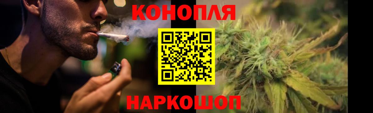 Бошки Шишки план Гатчина